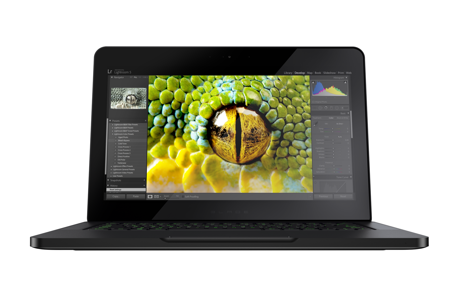 razer-blade-gallery-v3-02.png